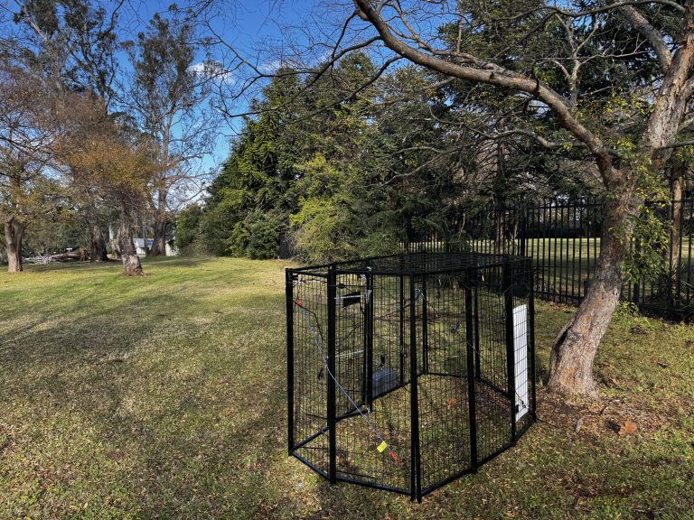 The One Rescue Missy Trap set up in a park